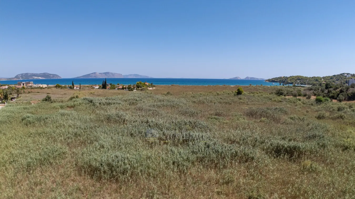 Αγροτεμάχιο 20863τ.μ.  - 3