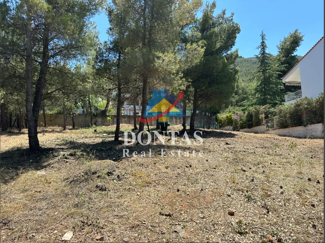 Οικόπεδο 800τ.μ.  - 4