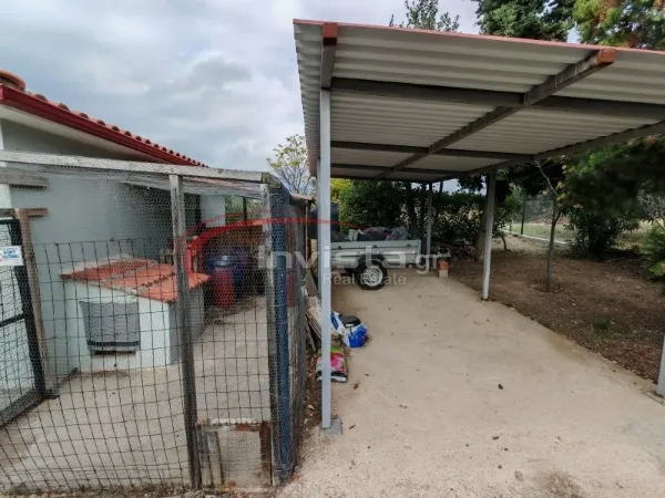 Detached house 250m²  - 5