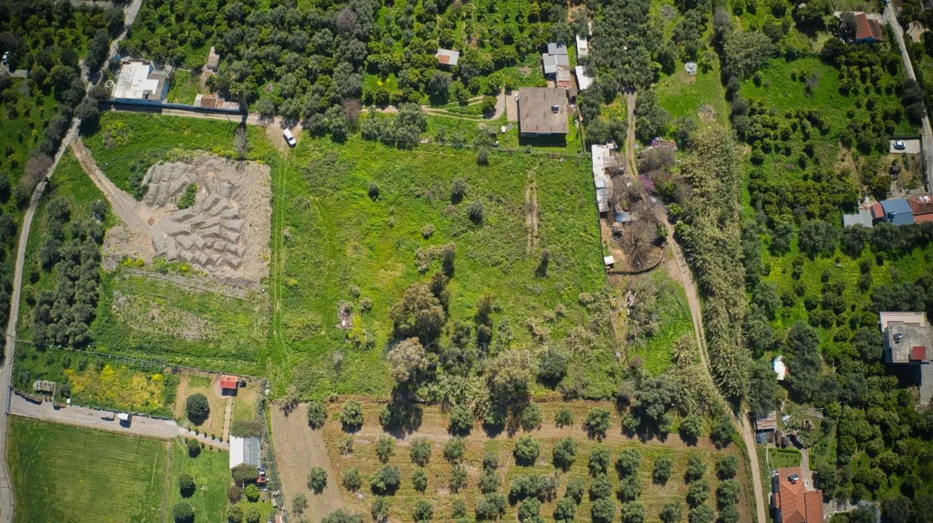 Αγροτεμάχιο 7229τ.μ.  - 4