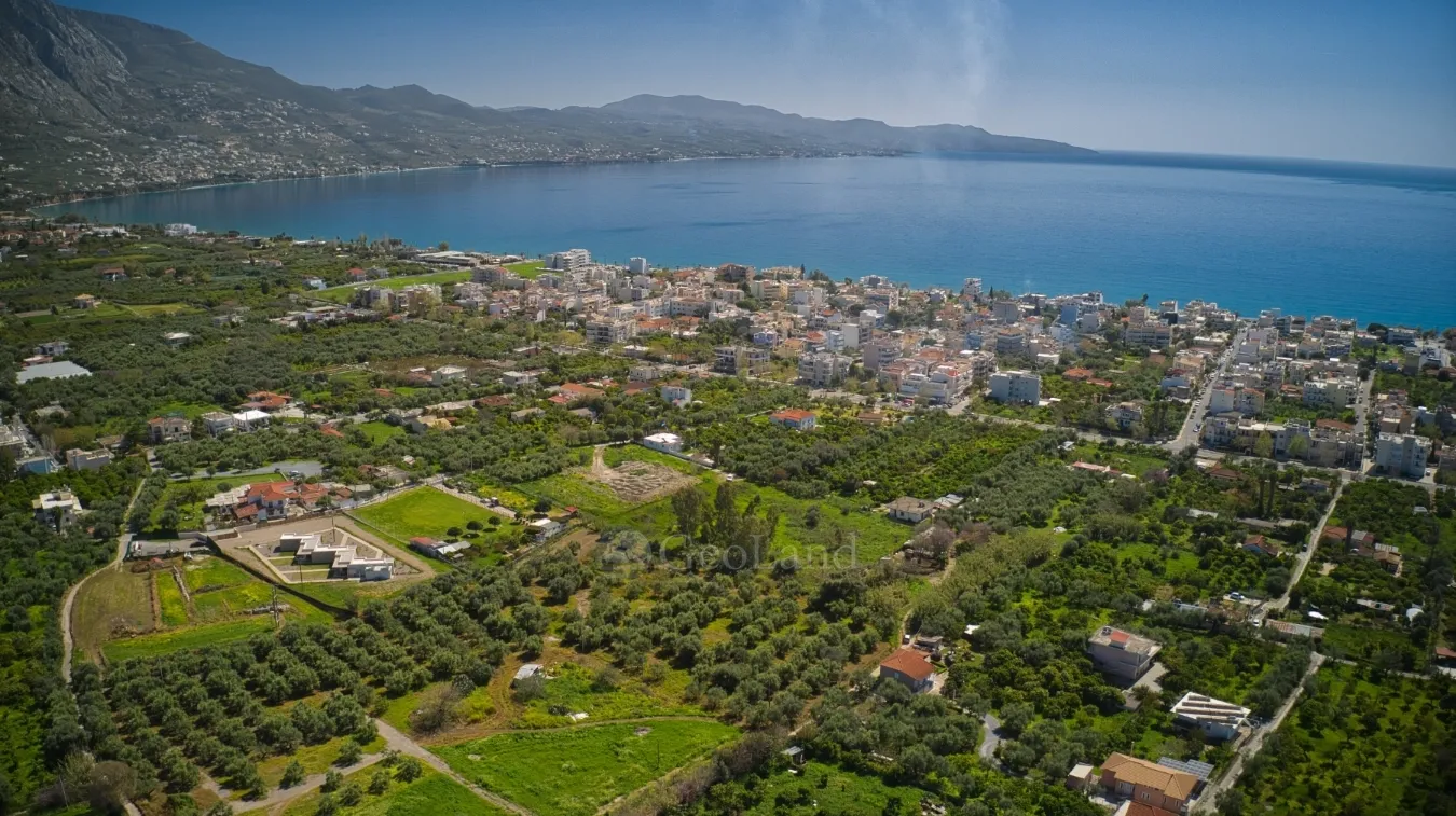 Αγροτεμάχιο 7229τ.μ.  - 5