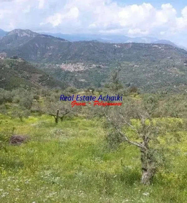 Αγροτεμάχιο 3870τ.μ.  - 2