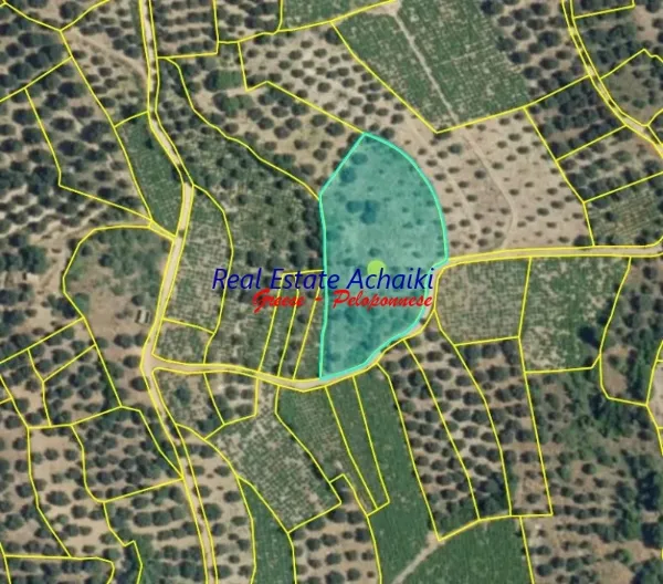 Αγροτεμάχιο 3870τ.μ.  - 3