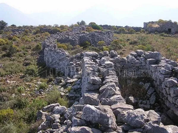 Οικόπεδο 85000τ.μ.  - 2