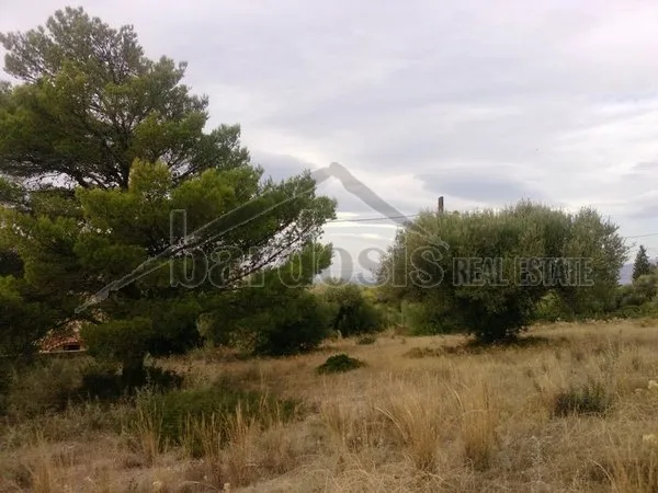 Οικόπεδο 3840τ.μ.  - 2