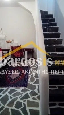 Μονοκατοικία 250τ.μ.  - 3