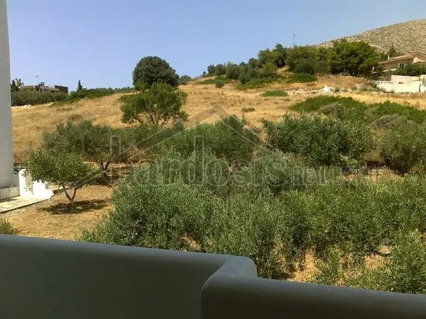 Μονοκατοικία 200τ.μ.  - 5