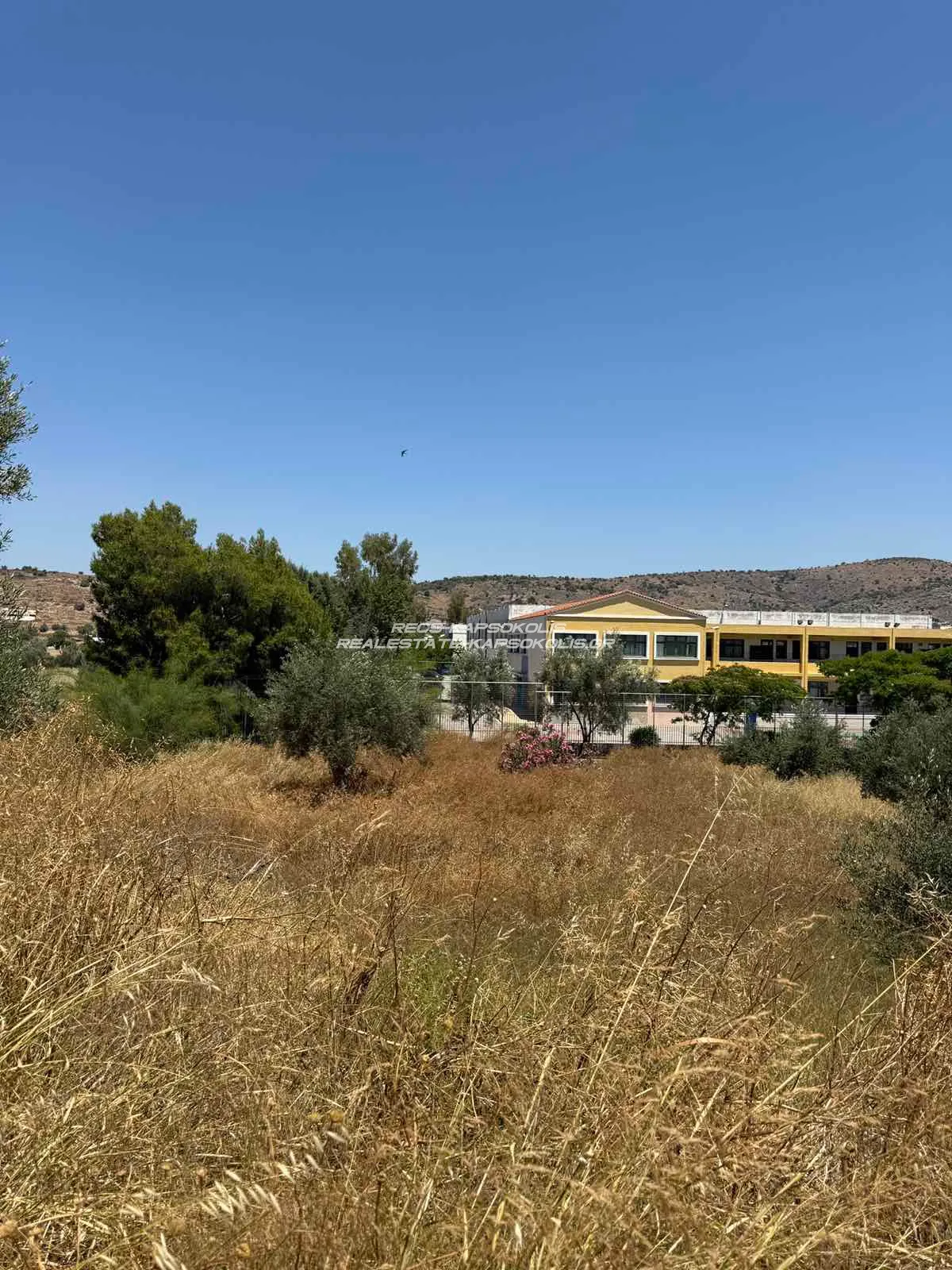 Αγροτεμάχιο 366τ.μ.  - 3
