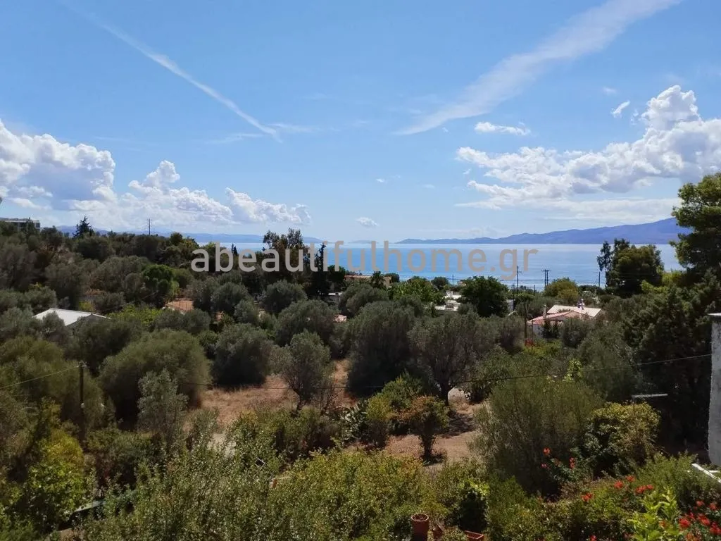 Διαμέρισμα 48τ.μ.  - 2