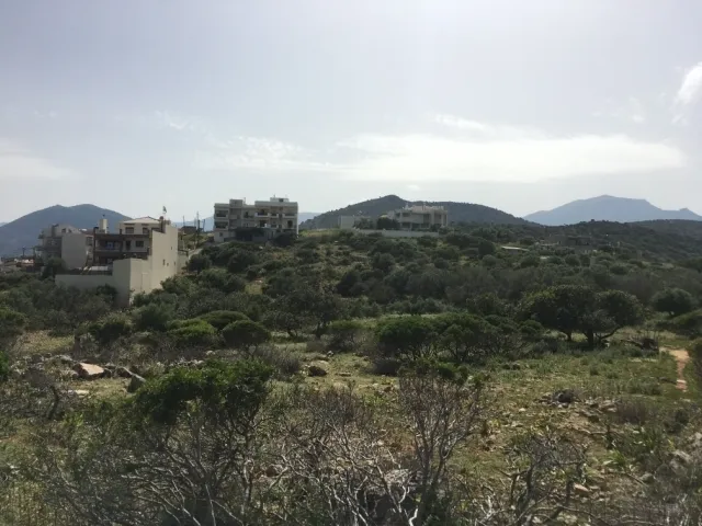 Plot 12473m²  - 4