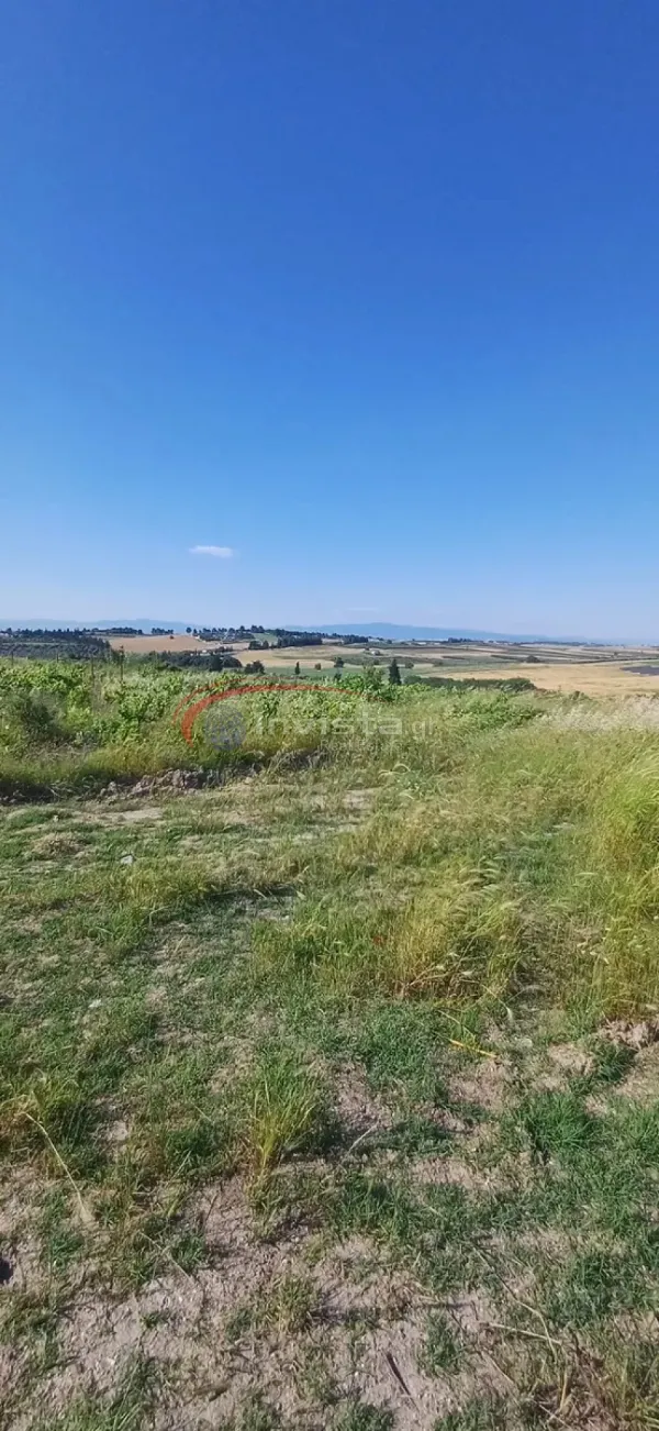 Αγροτεμάχιο 5000τ.μ.  - 3