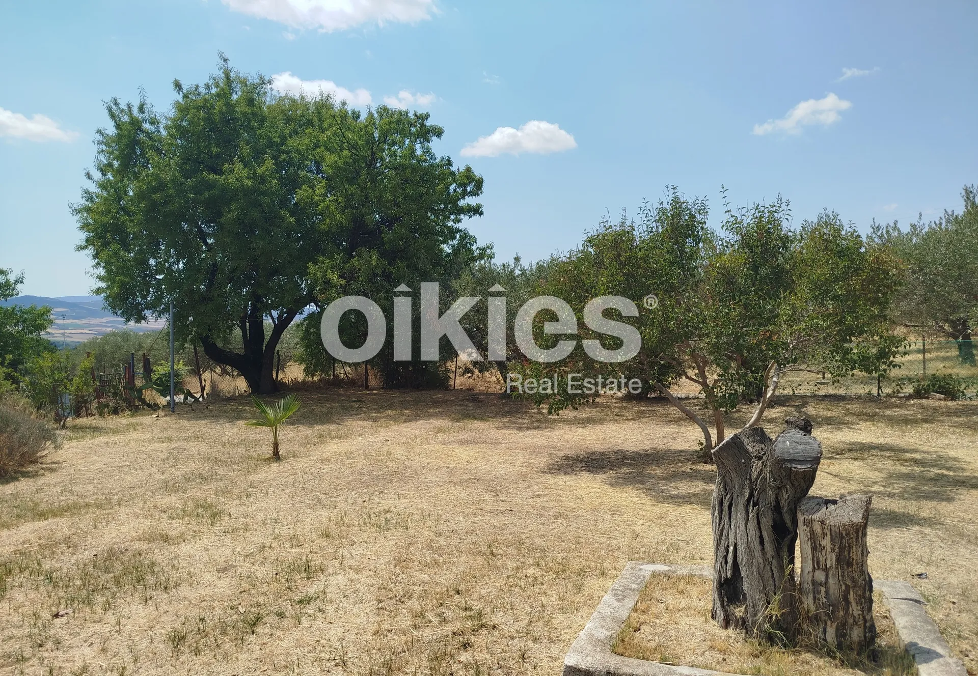 Μονοκατοικία 55τ.μ.  - 3