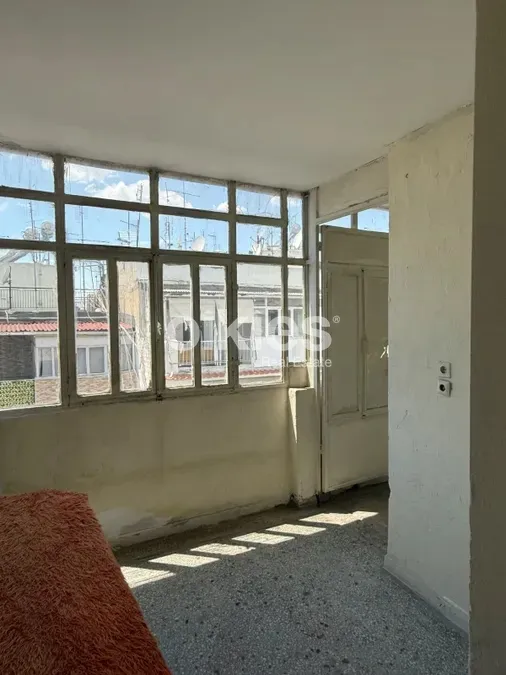 Studio 38m²  - 3