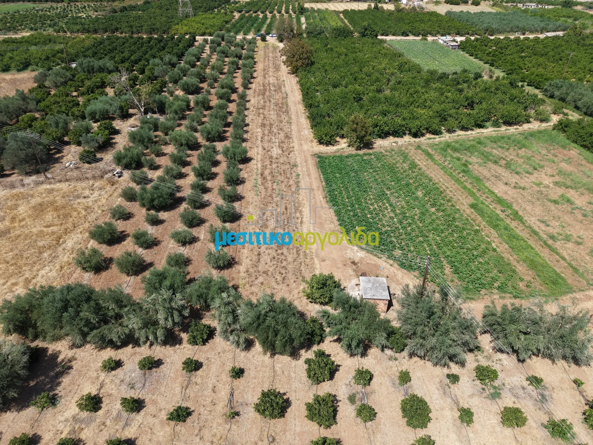 Αγροτεμάχιο 5000τ.μ.  - 3