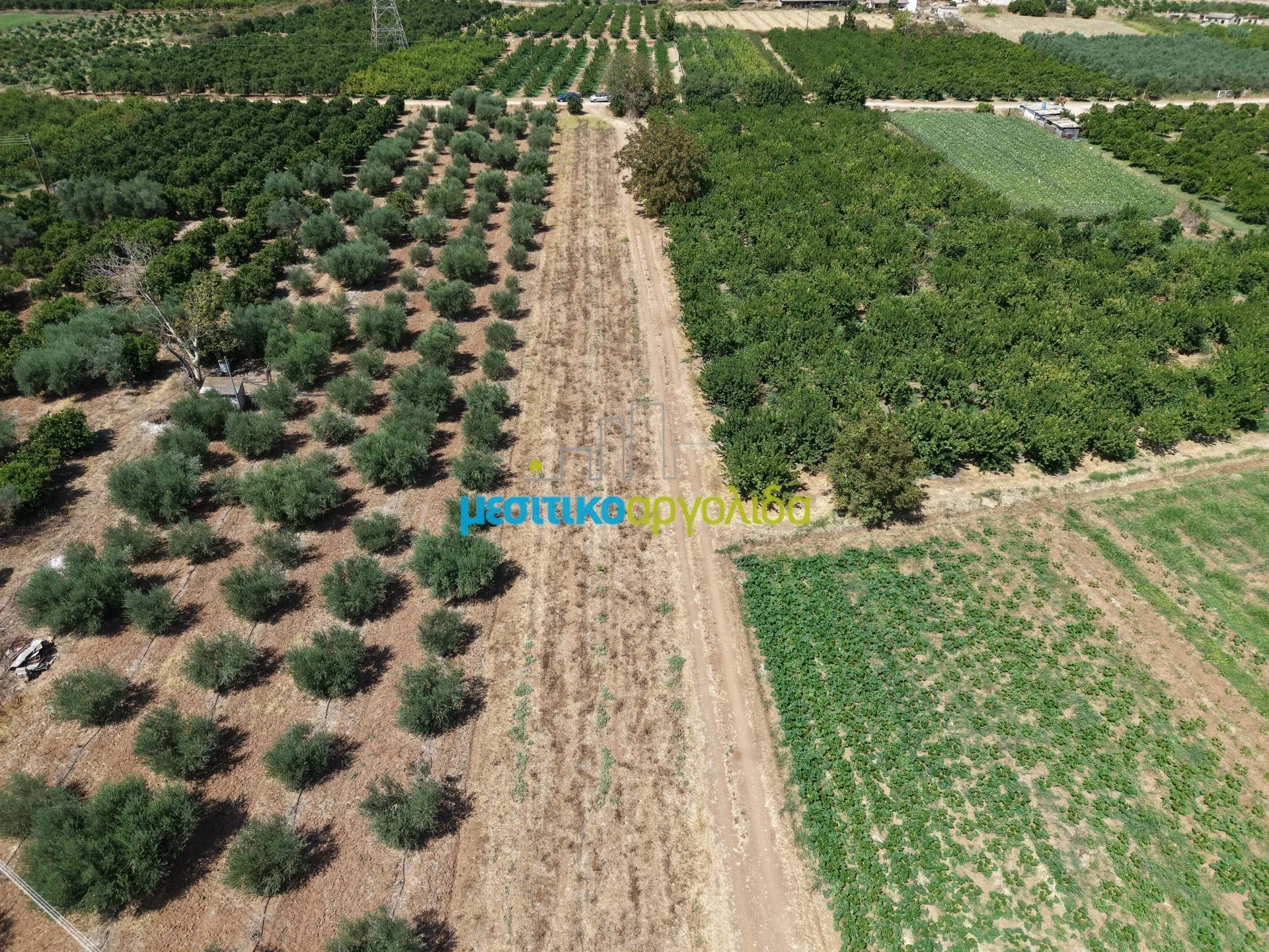 Αγροτεμάχιο 5000τ.μ.  - 4