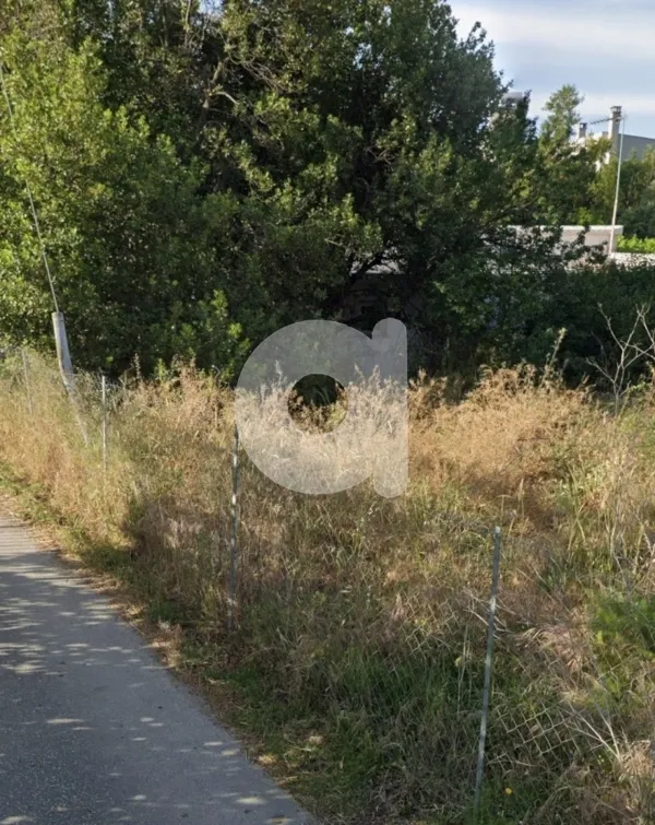 Οικόπεδο 780τ.μ.  - 2