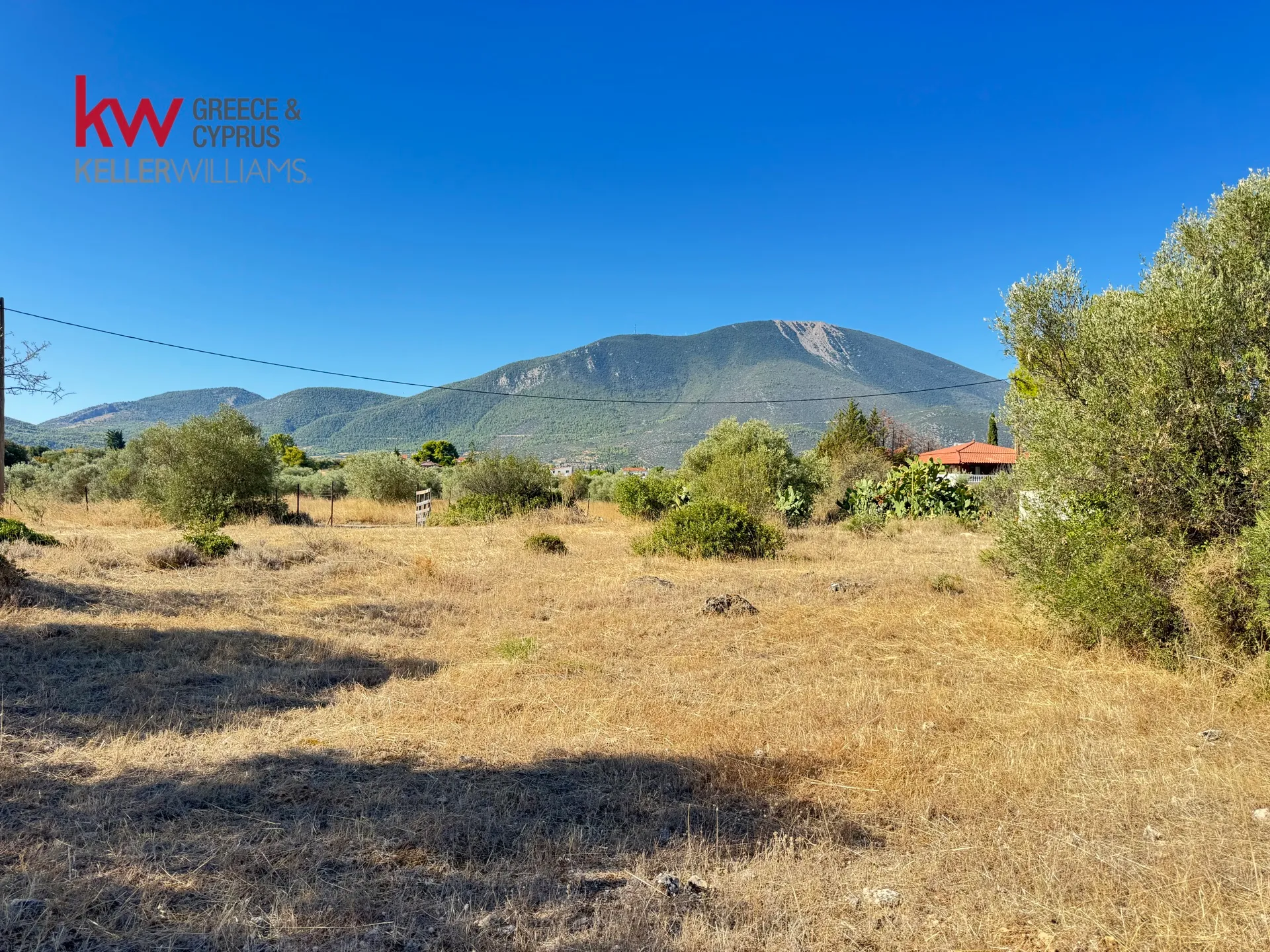 Οικόπεδο 8671τ.μ.  - 4