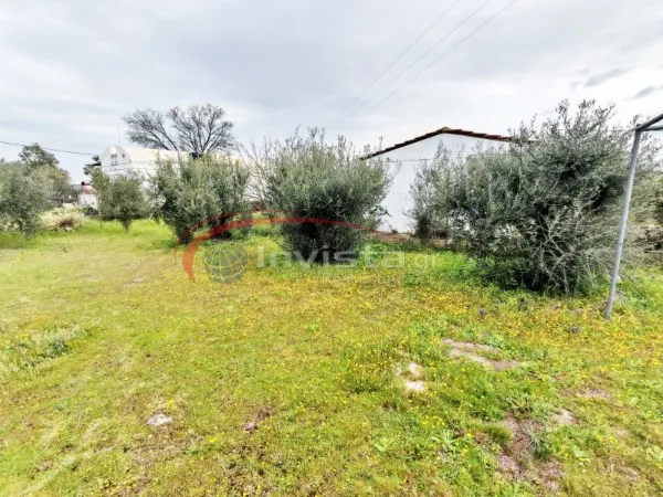 Αγροτεμάχιο 700τ.μ.  - 2