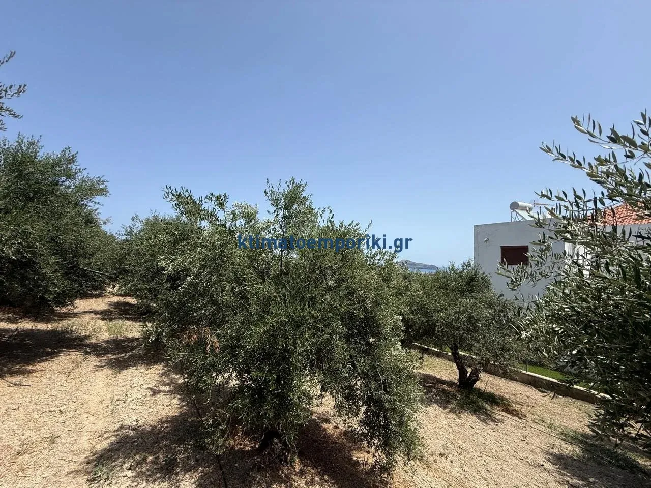 Οικόπεδο 325τ.μ.  - 2