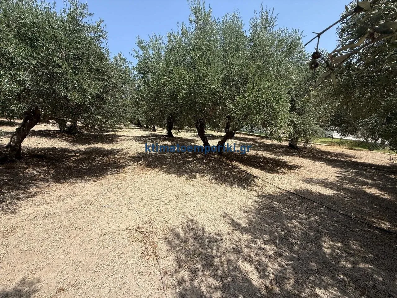 Οικόπεδο 325τ.μ.  - 3