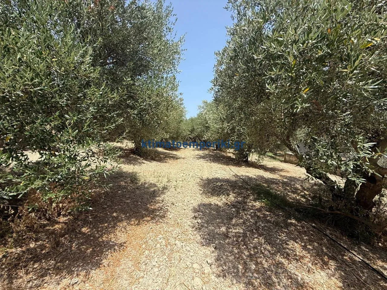 Οικόπεδο 325τ.μ.  - 5