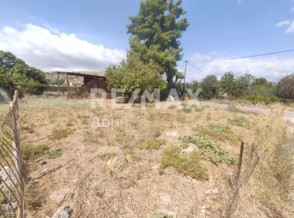 Plot 229m²  - 5