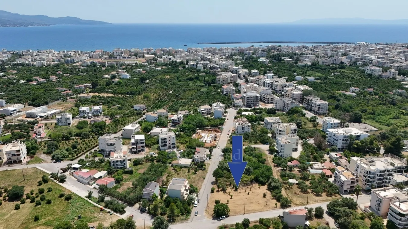 Οικόπεδο 2000τ.μ.  - 3