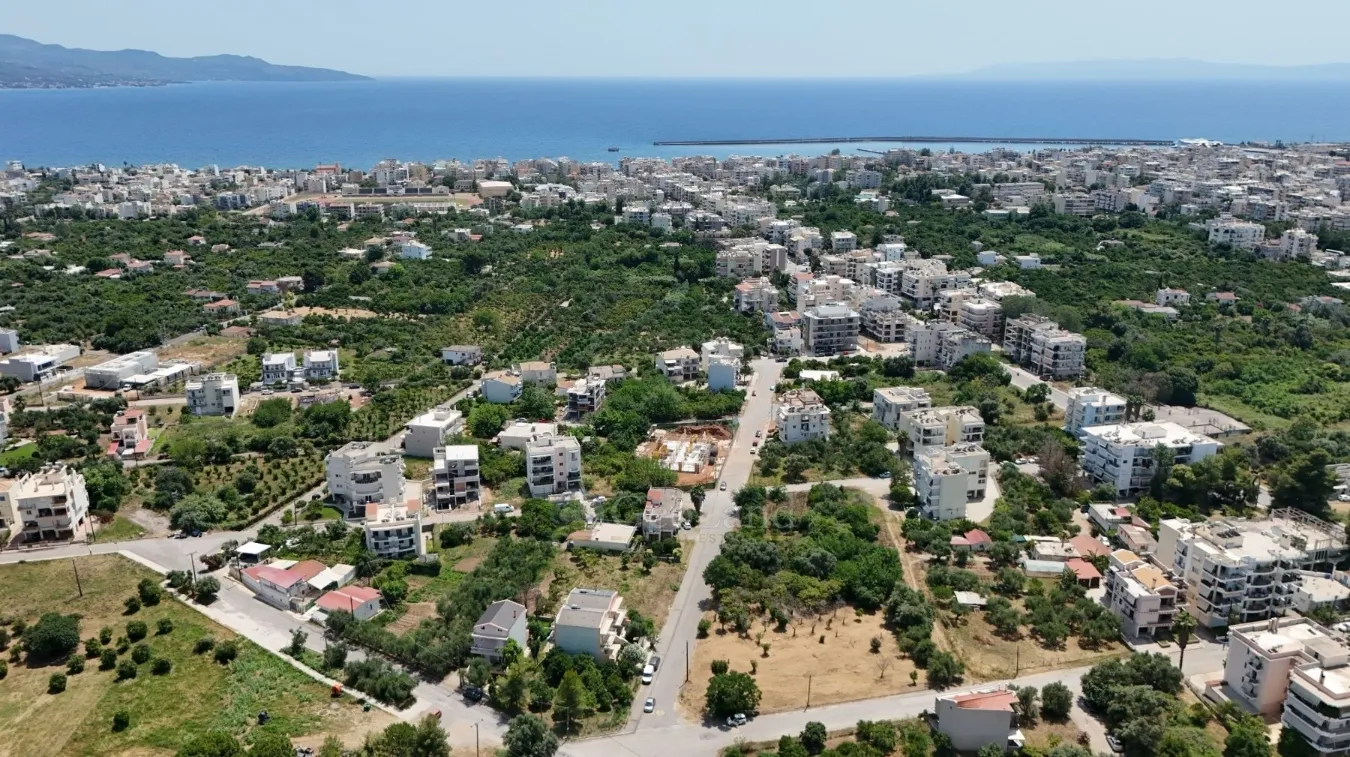 Οικόπεδο 2000τ.μ.  - 4