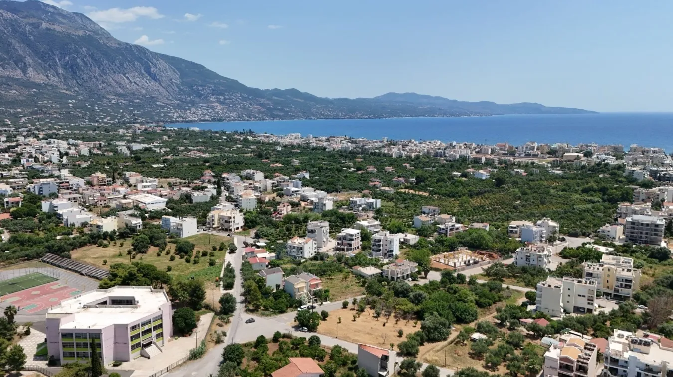 Οικόπεδο 2000τ.μ.  - 5