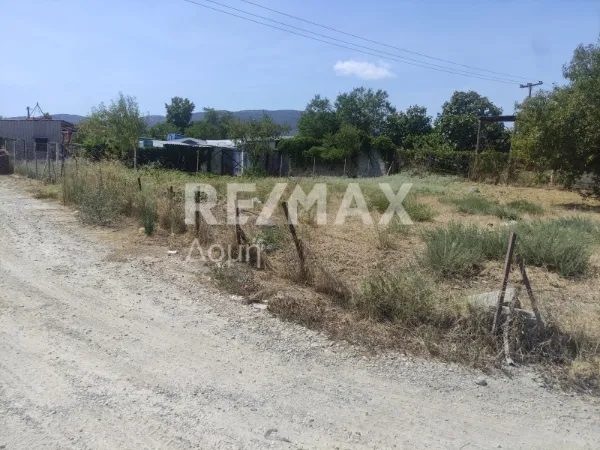 Plot 229m²  - 2