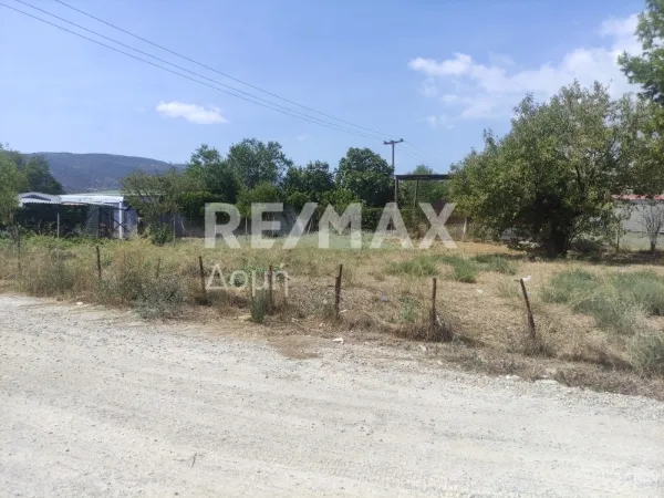 Plot 229m²  - 3