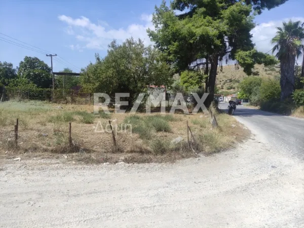 Plot 229m²  - 4