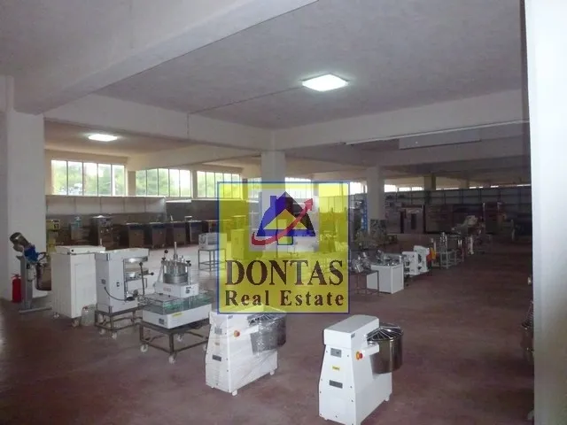 Standalone office building 4500m²  - 5