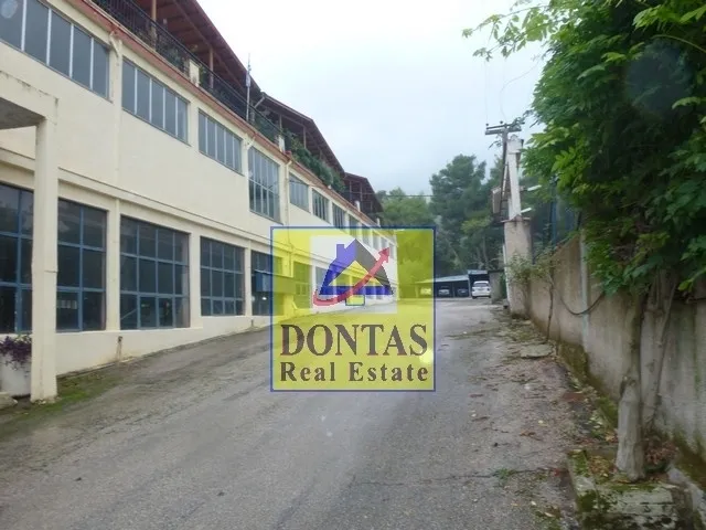 Standalone office building 3000m²  - 3