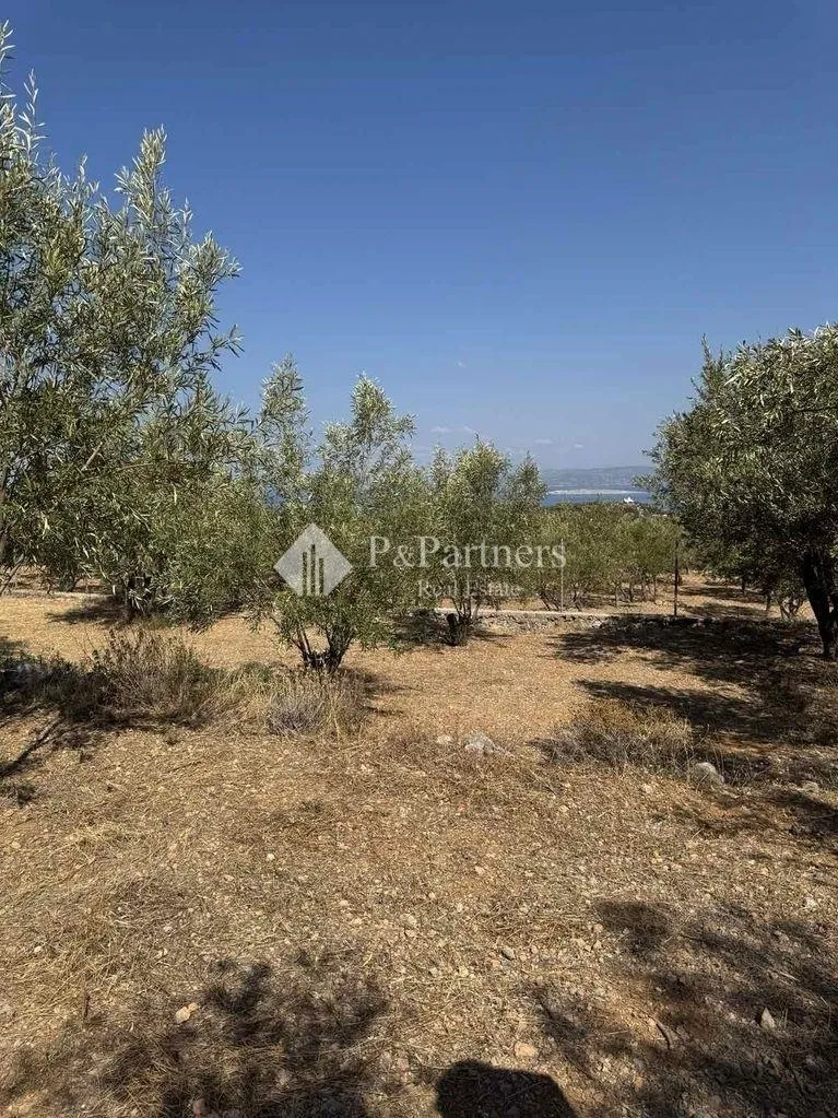 Οικόπεδο 646τ.μ.  - 2