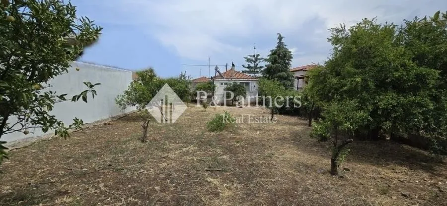 Detached house 200m²  - 2