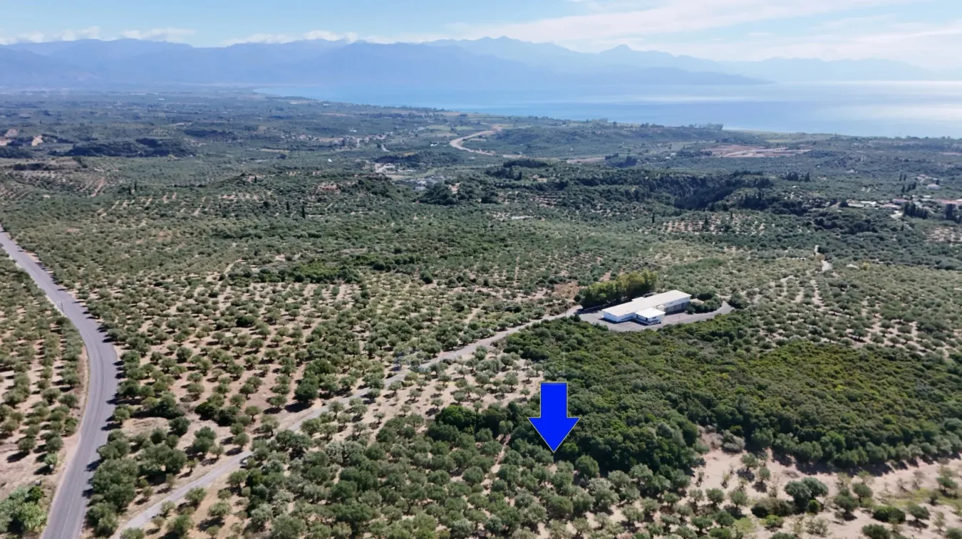 Αγροτεμάχιο 5732τ.μ.  - 3