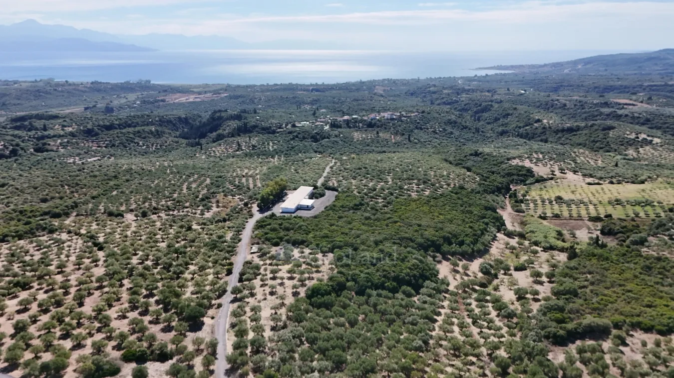 Αγροτεμάχιο 5732τ.μ.  - 4