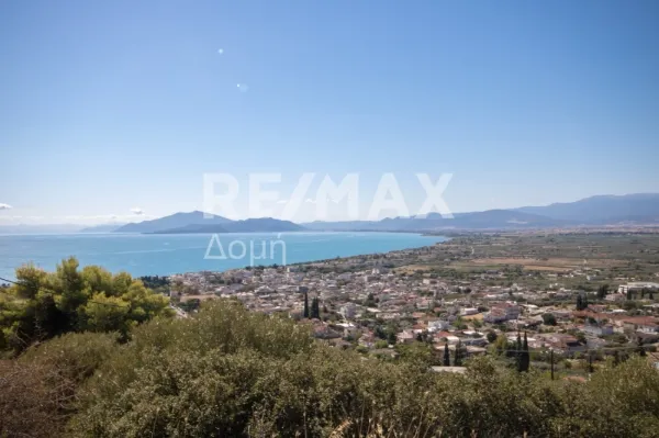 Αγροτεμάχιο 4200τ.μ.  - 2
