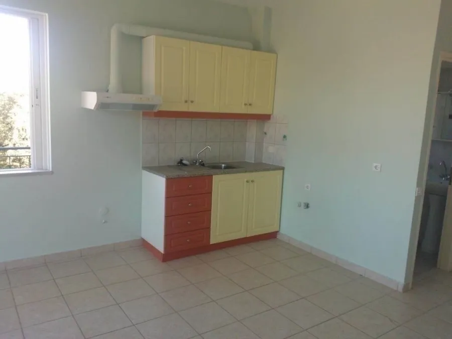 Studio 32m²  - 3