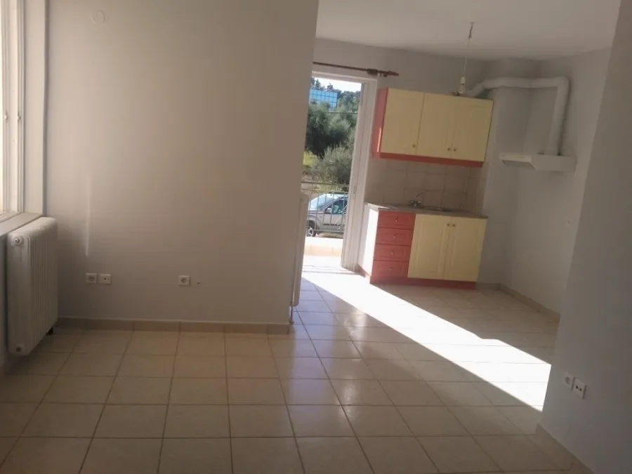 Studio 31m²  - 2