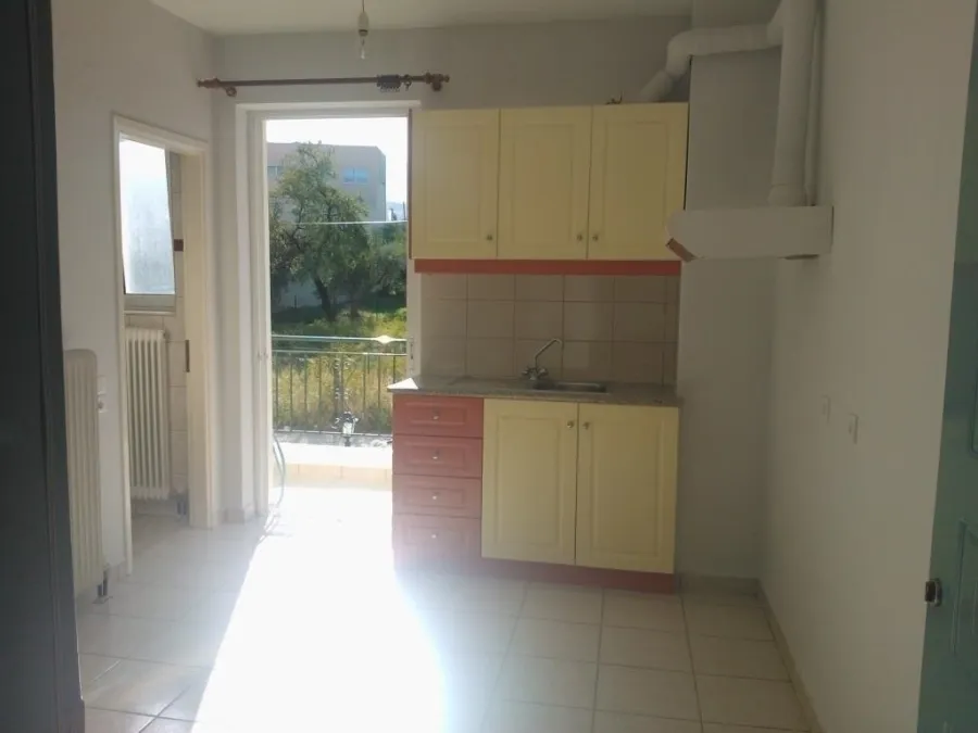 Studio 31m²  - 3