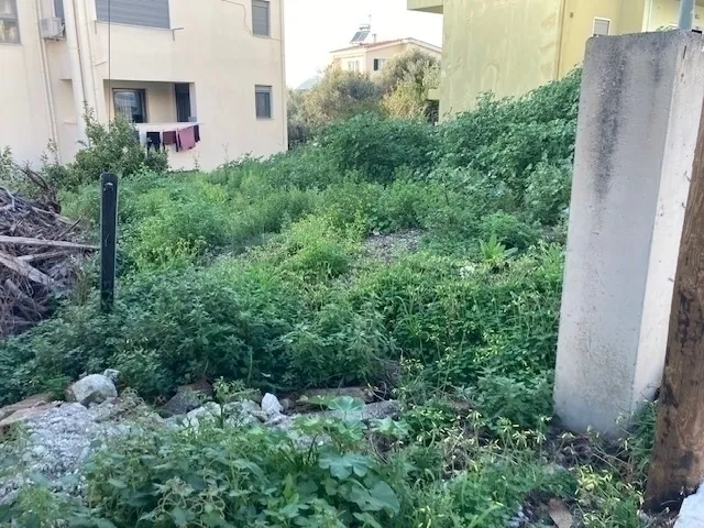 Οικόπεδο 200τ.μ.  - 2