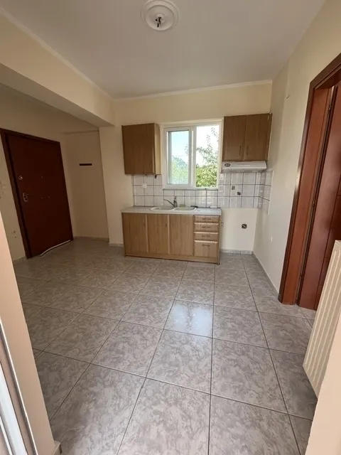 Studio 33m²  - 2