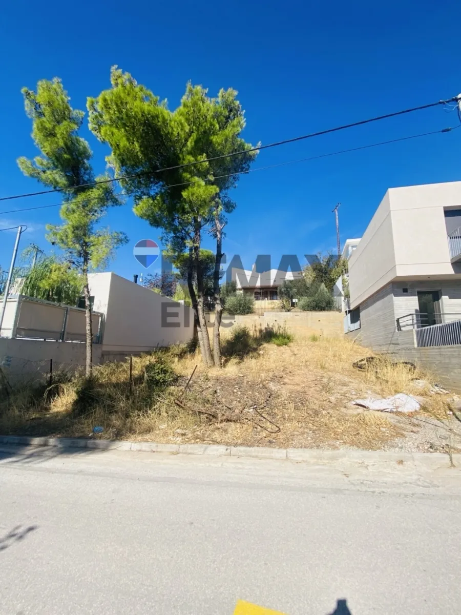 Plot 294m²  - 2