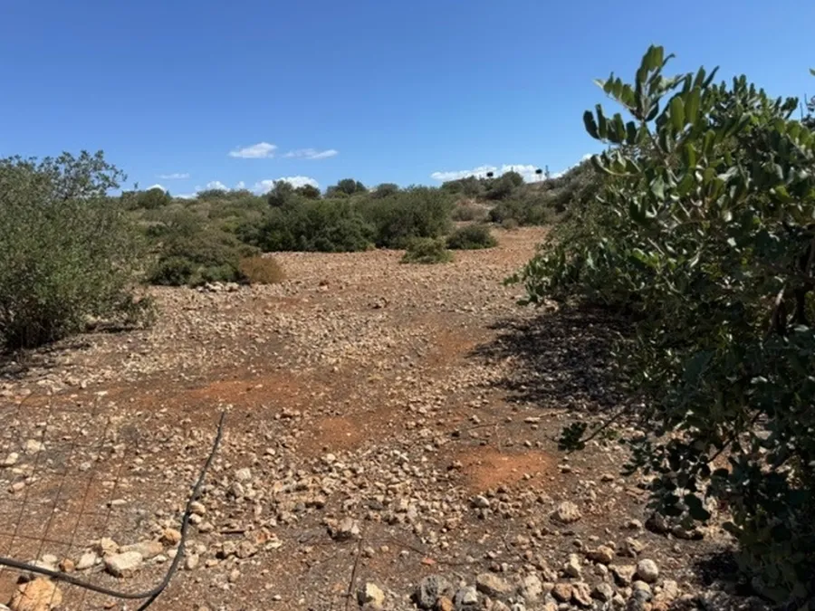 Plot 6500m²  - 3