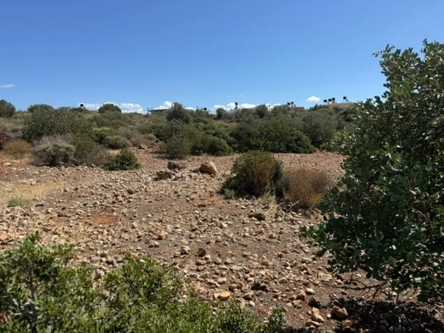 Plot 6500m²  - 4