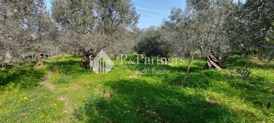 Land Parcel 1794m²  - 2