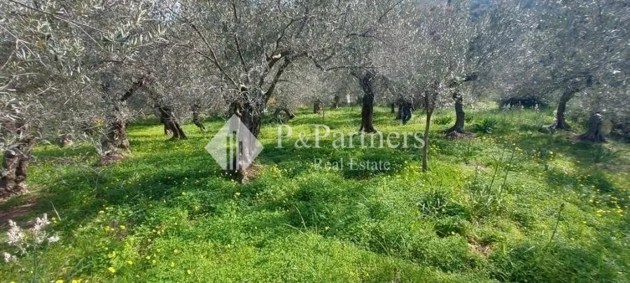 Land Parcel 1794m²  - 3