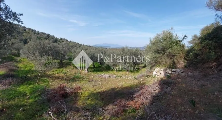 Land Parcel 1794m²  - 5